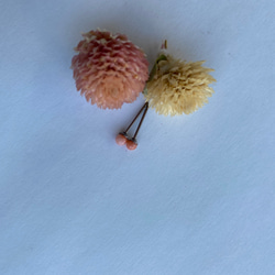 ホクロのような・小さな小さなピンクコーラルチタンピアス 8枚目の画像