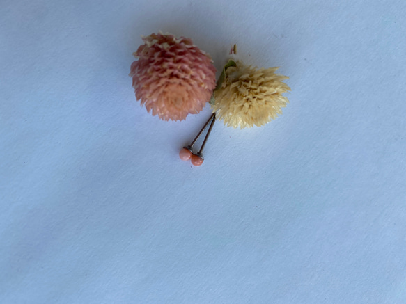 ホクロのような・小さな小さなピンクコーラルチタンピアス 8枚目の画像