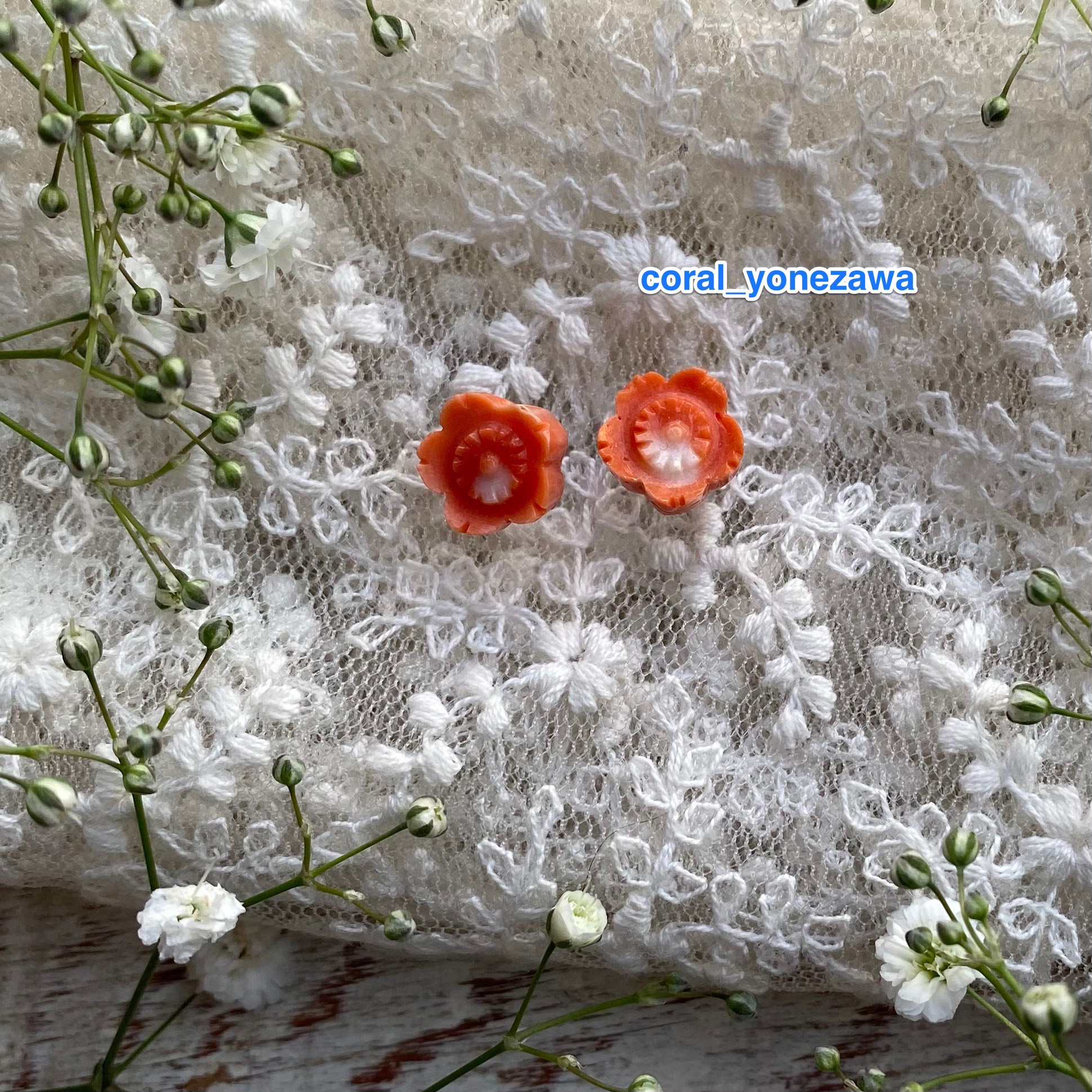 はるつげはな【梅】縁起物の花…開花しました。モモイロサンゴピアス