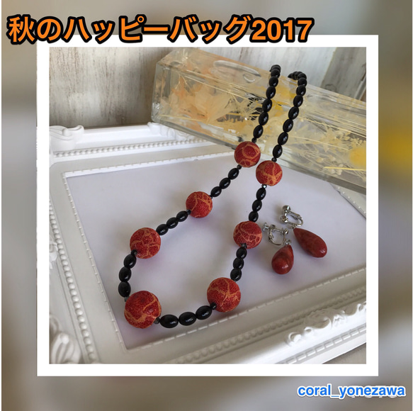 【oshin様専用出品】秋のハッピーバッグ・その②イソバナサンゴセット 1枚目の画像