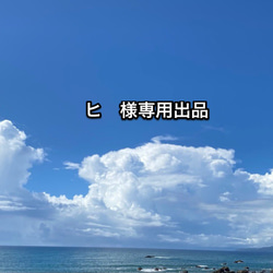 【  ヒ 様専用出品】令和元年6月誕生石フェア6月28日淡水パール2連ネックレス 1枚目の画像