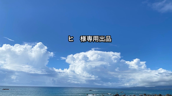 【  ヒ 様専用出品】令和元年6月誕生石フェア6月28日淡水パール2連ネックレス 1枚目の画像