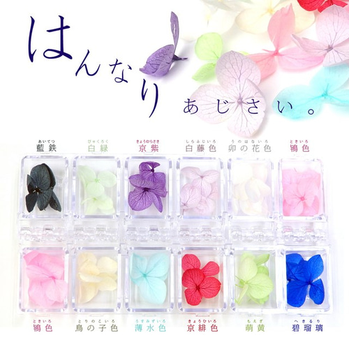 紫陽花 レジン封入ドライフラワー【全12色セット】あじさい
