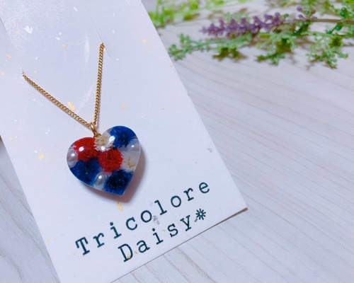 0_d6865e11fa17373543538bb9f267