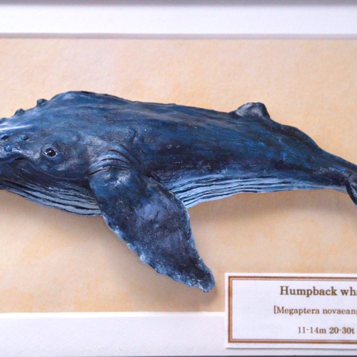 粘土造形 クジラフレーム ザトウクジラ 立体・オブジェ frame