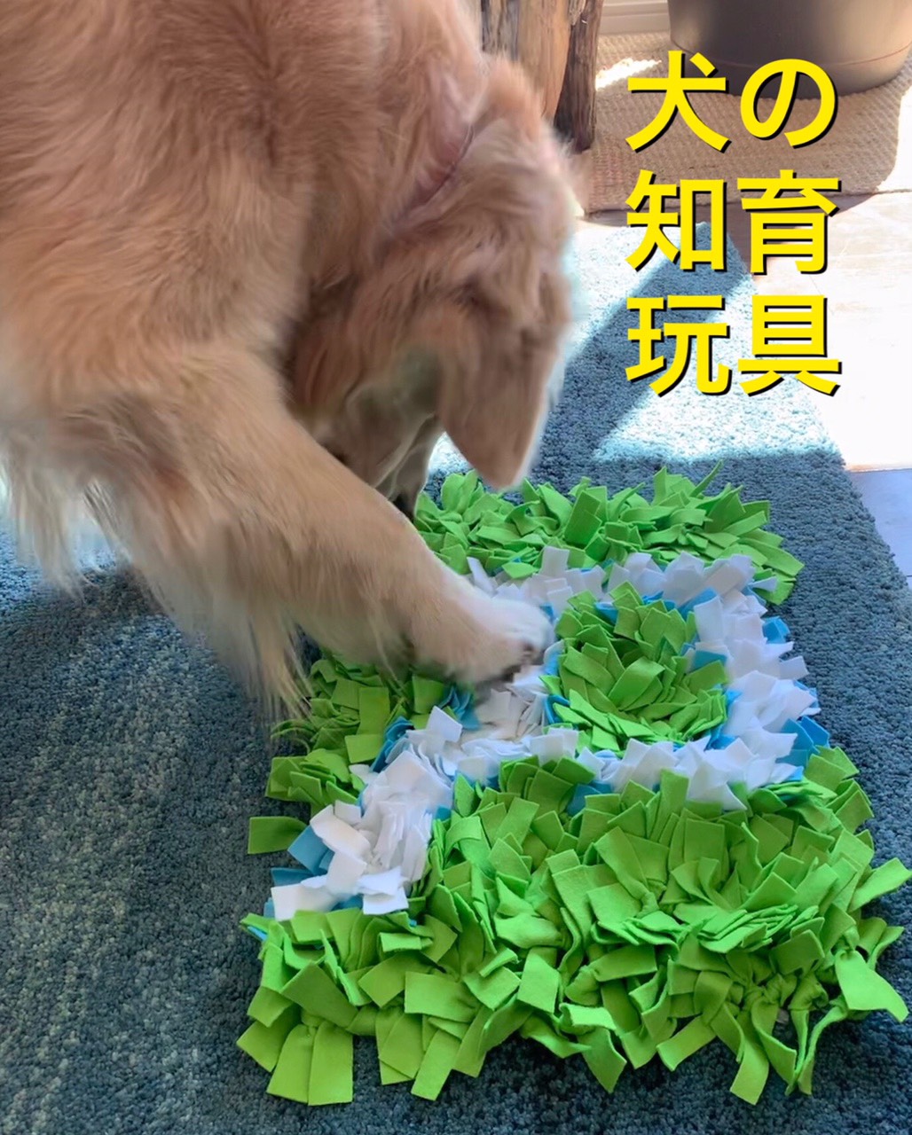犬の知育玩具 ノーズワーク おもちゃ・ペット小物 ALOHA WIND