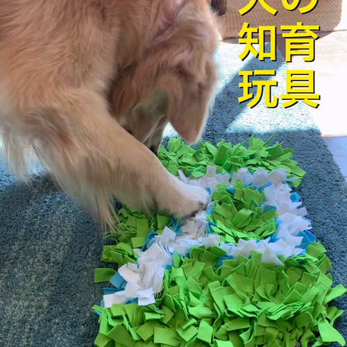 新品未使用　ノーズワーク‼︎ ノーズワーク 嗅覚トレーニング にんじん いちご ペット