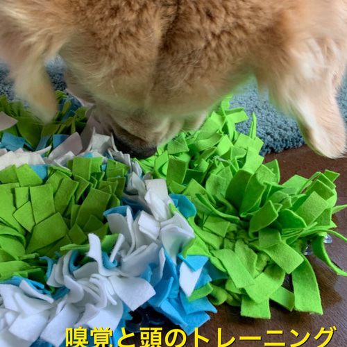 犬の知育玩具 ノーズワーク おもちゃ・ペット小物 ALOHA WIND