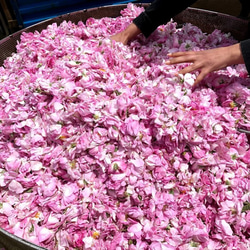 チュニジアの古都ケロアンのローズ畑よりダマスクローズの芳香蒸留水　ローズウォーター　250ml 5枚目の画像