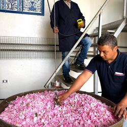 チュニジアの古都ケロアンのローズ畑よりダマスクローズの芳香蒸留水　ローズウォーター　250ml 7枚目の画像