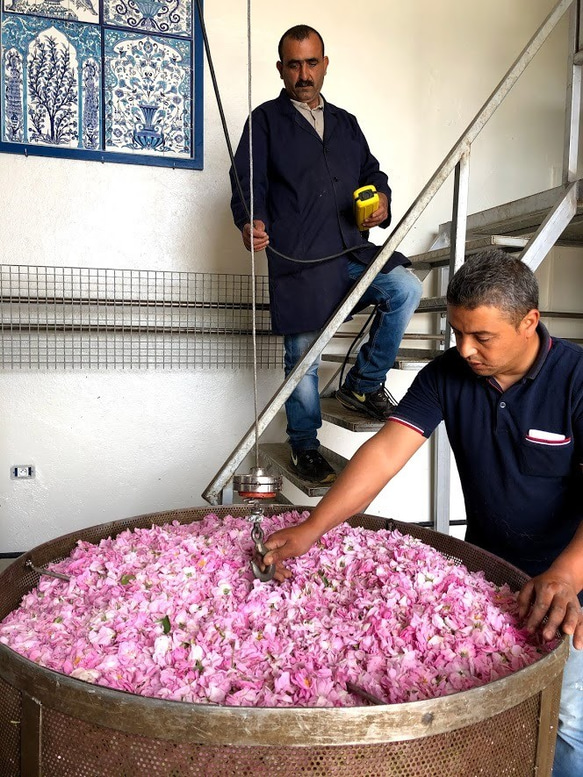 チュニジアの古都ケロアンのローズ畑よりダマスクローズの芳香蒸留水　ローズウォーター　250ml 7枚目の画像