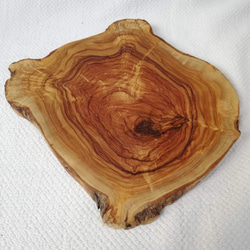 オリーブの木の輪切り　カッティングボード　皮つき 5枚目の画像