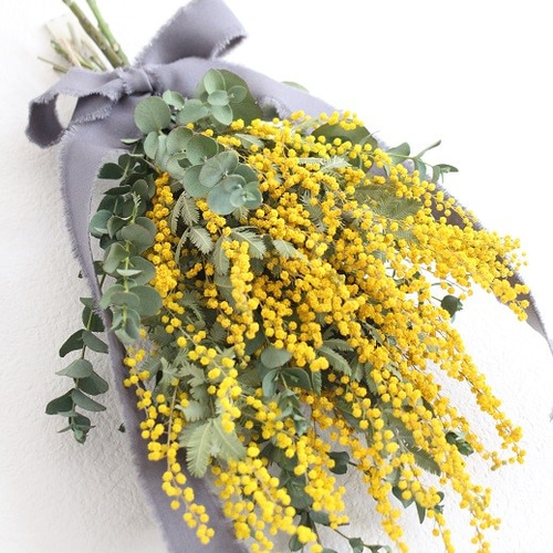 専用＊ミモザ&オクラ　ドライフラワースワッグ ミモザ&オクラ ドライフラワースワッグ スワッグ fu.wa.ran＊botanical