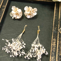 【訂做】2way白花珍珠首飾乾燥花花束耳環 第2張的照片