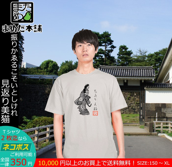 【おもしろ動物系Ｔシャツ】見返り美猫＜＜まめた本舗＞＞ 3枚目の画像