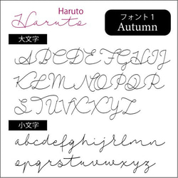 名入れ♪巾着(英字)　シューズバッグ　お着換え袋　お着換えバッグ　コップ袋　上靴入れ　上履き入れ　上靴バッグ　 4枚目の画像