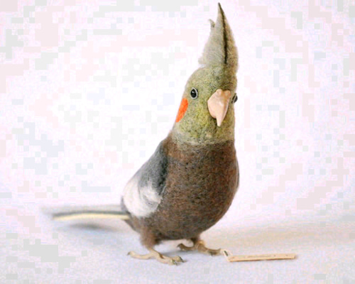 オカメインコ ノーマル メス 羊毛フェルト Primary Color Craft