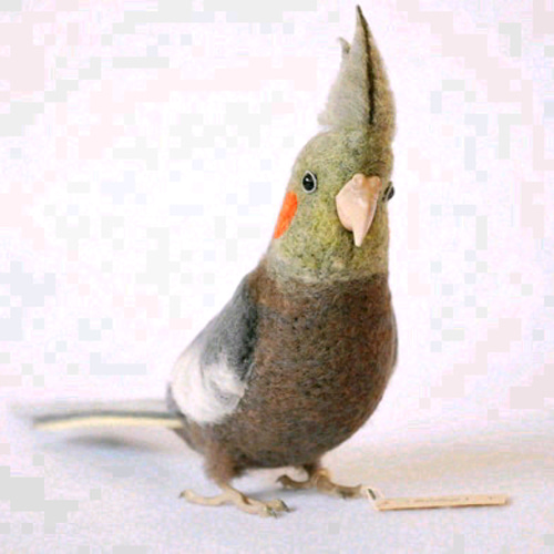 オカメインコ ノーマル メス 羊毛フェルト Primary Color Craft オカメインコ ノーマル メス 羊毛フェルト Primary Color Craft