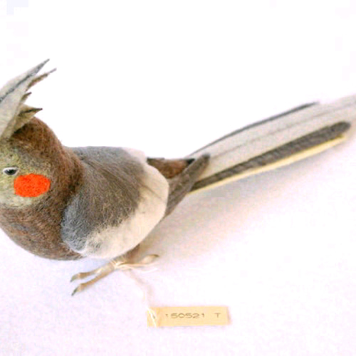 オカメインコ ノーマル メス 羊毛フェルト Primary Color Craft 通販