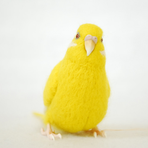 セキセイインコ 黄色 ルチノー 1603193 羊毛フェルト Primary Color