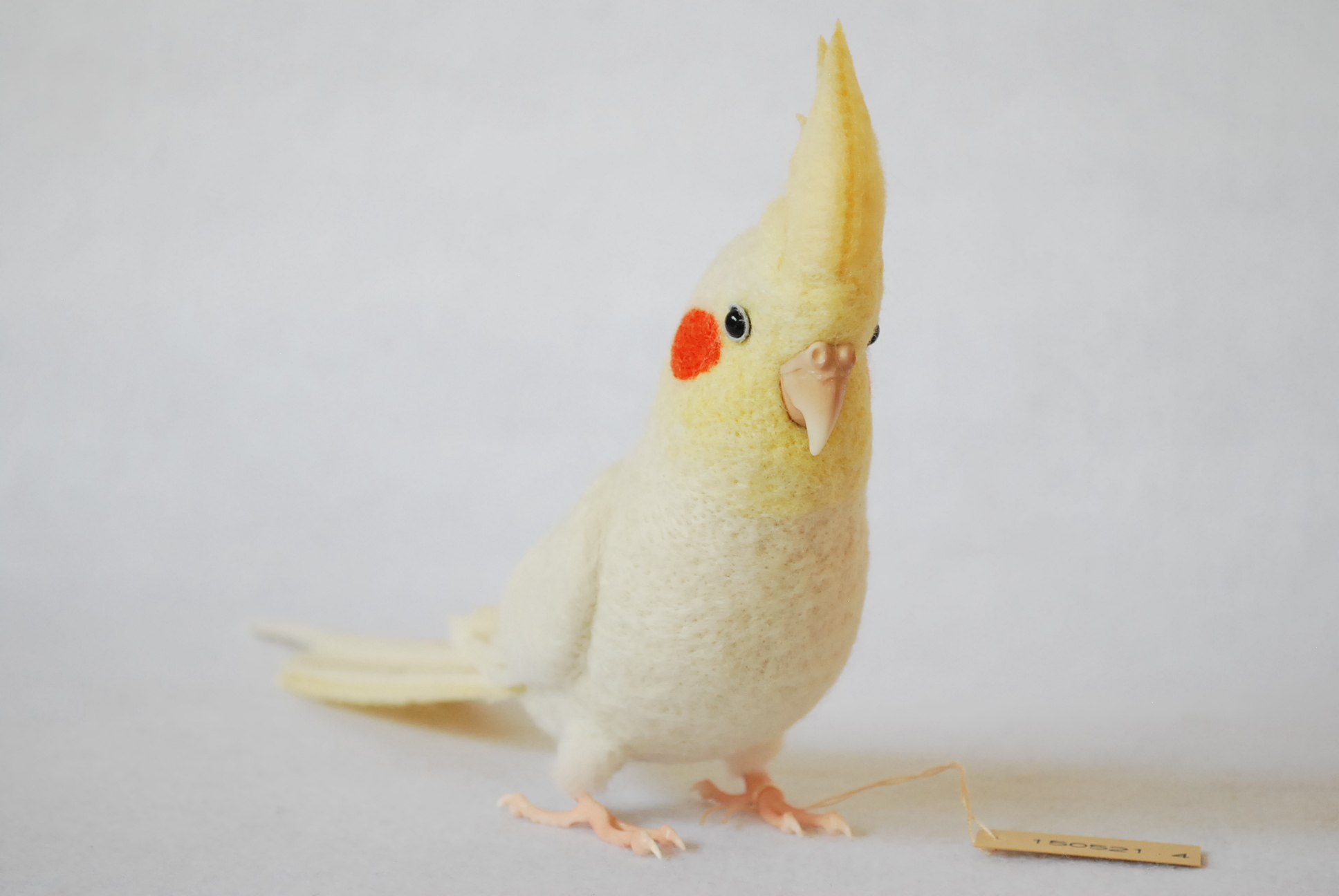 羊毛フェルト オカメインコ ルチノー オカメインコ ルチノー 羊毛フェルト Primary Color Craft 通販