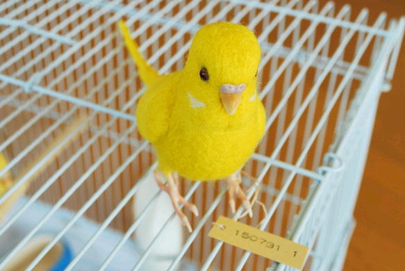 ルルギネス セキセイインコ 晴雨兼用パラソル☆新品タグ付☆ ルルギネス セキセイインコ 晴雨兼用パラソル☆新品タグ付