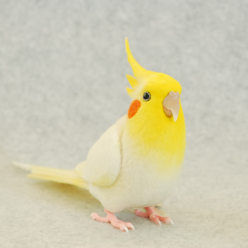 オカメインコ ルチノー 1707233 羊毛フェルト Primary Color Craft