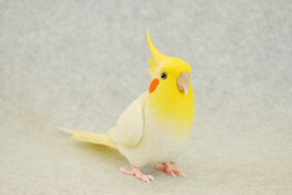 オカメインコ ルチノー 1707233 羊毛フェルト Primary Color