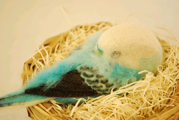 インコ家族様オーダー品 インコ家族様オーダー品 インコ家族様オーダー品