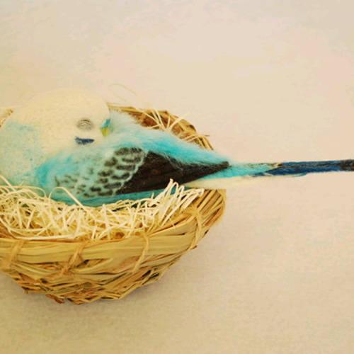 お昼寝 セキセイインコ オパーリン 水色 オス 1508161 その他置物