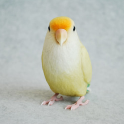 小桜インコ様、専用のpost 小桜インコ様、専用のpost 小桜インコ様、専用のpost ほわっほわ