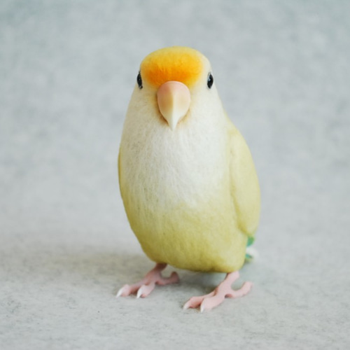 【2294】コザクラインコちゃんのヘアゴム クスエア型黄色とオレンジのかすみ草 2294】コザクラインコちゃんのヘアゴム クスエア型黄色と
