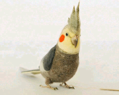 1_730fe00cc402fdb9fa13bd875719