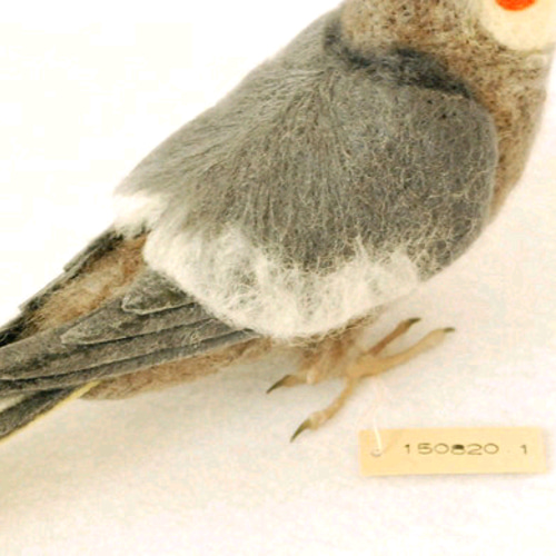 オカメインコ ノーマル オス 1508201 羊毛フェルト Primary Color