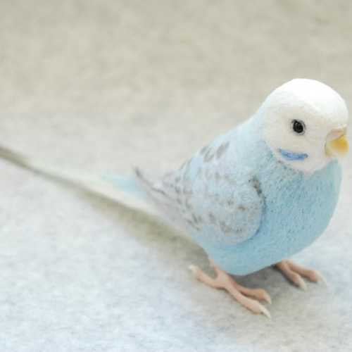 セキセイインコ ウィング 水色 オス1707072 羊毛フェルト Primary