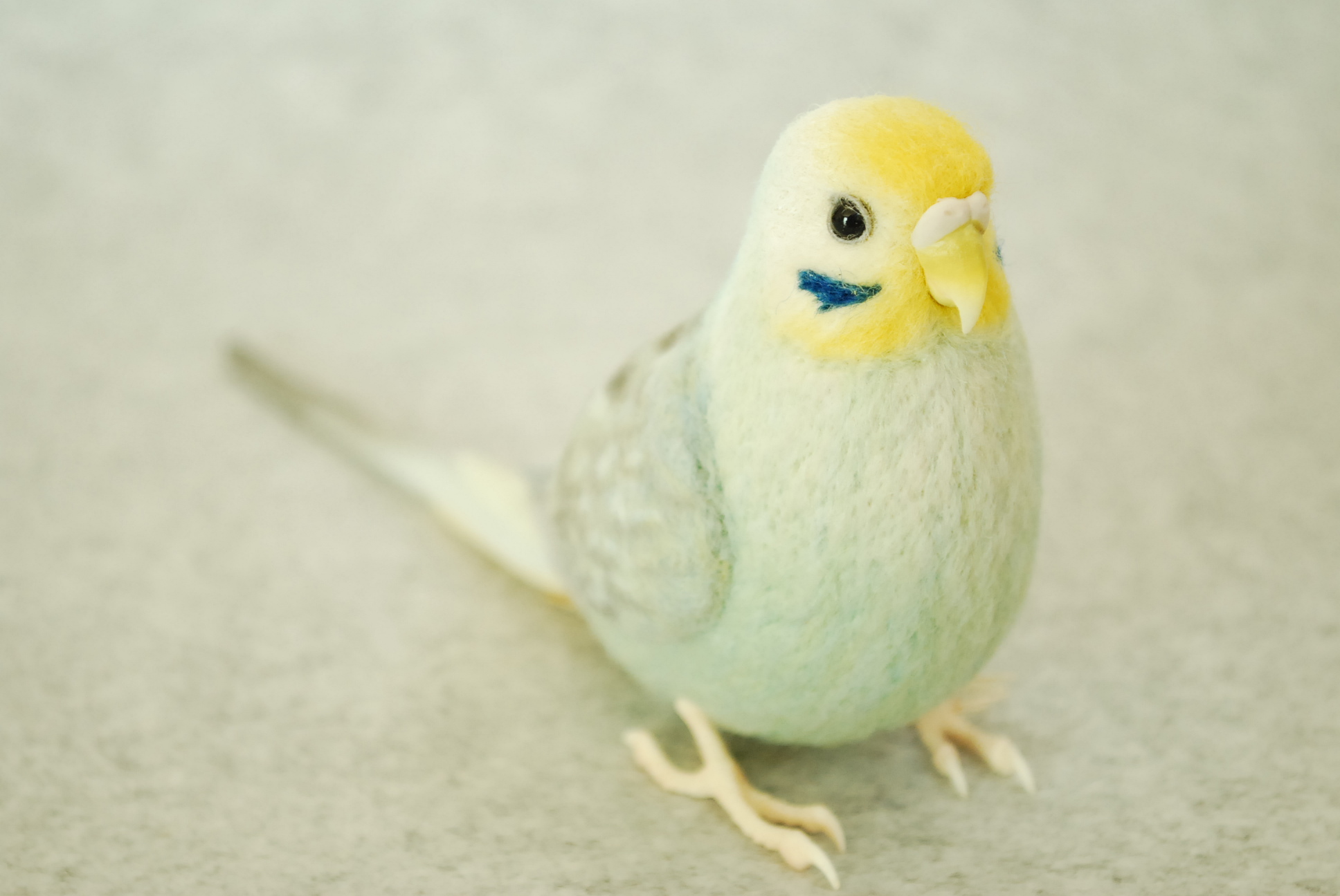 セキセイインコ約1/2サイズ＋おすわり | TinyBooBoo