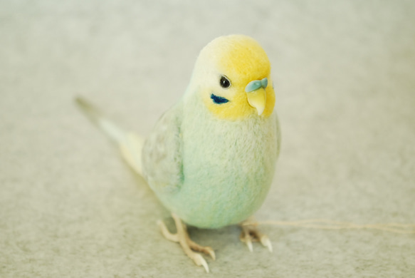 セキセイインコ レインボー オス 1609091 羊毛フェルト Primary Color