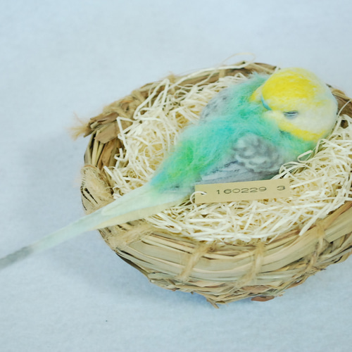 お昼寝 セキセイインコ レインボー 1602293 羊毛フェルト Primary