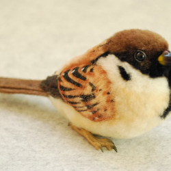 オカメインコ ノーマル オス 1707201 羊毛フェルト Primary Color