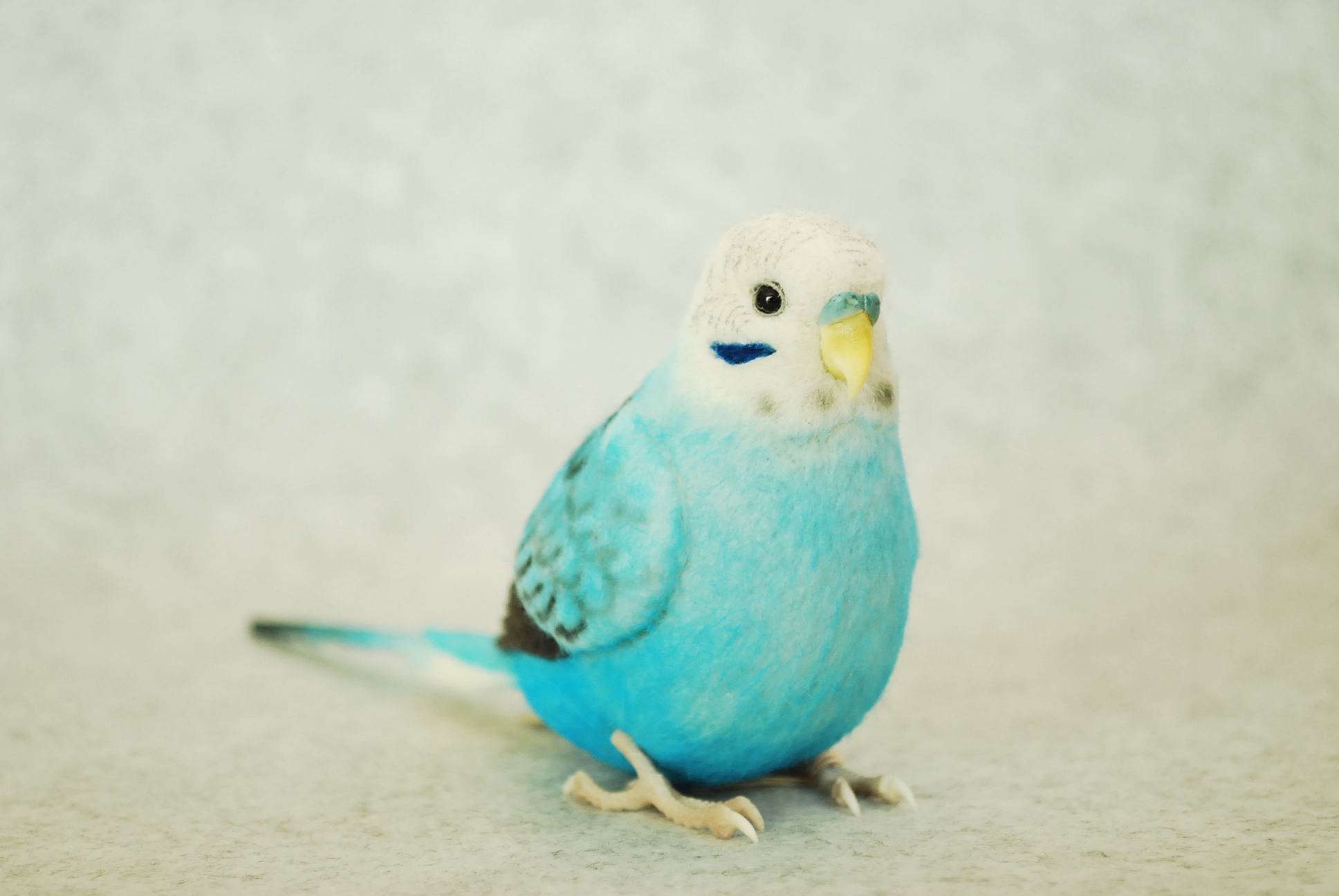 セキセイインコ オパーリン 水色 オス 1609221 羊毛フェルト セキセイインコ オパーリン 水色 オス 1609221 羊毛フェルト