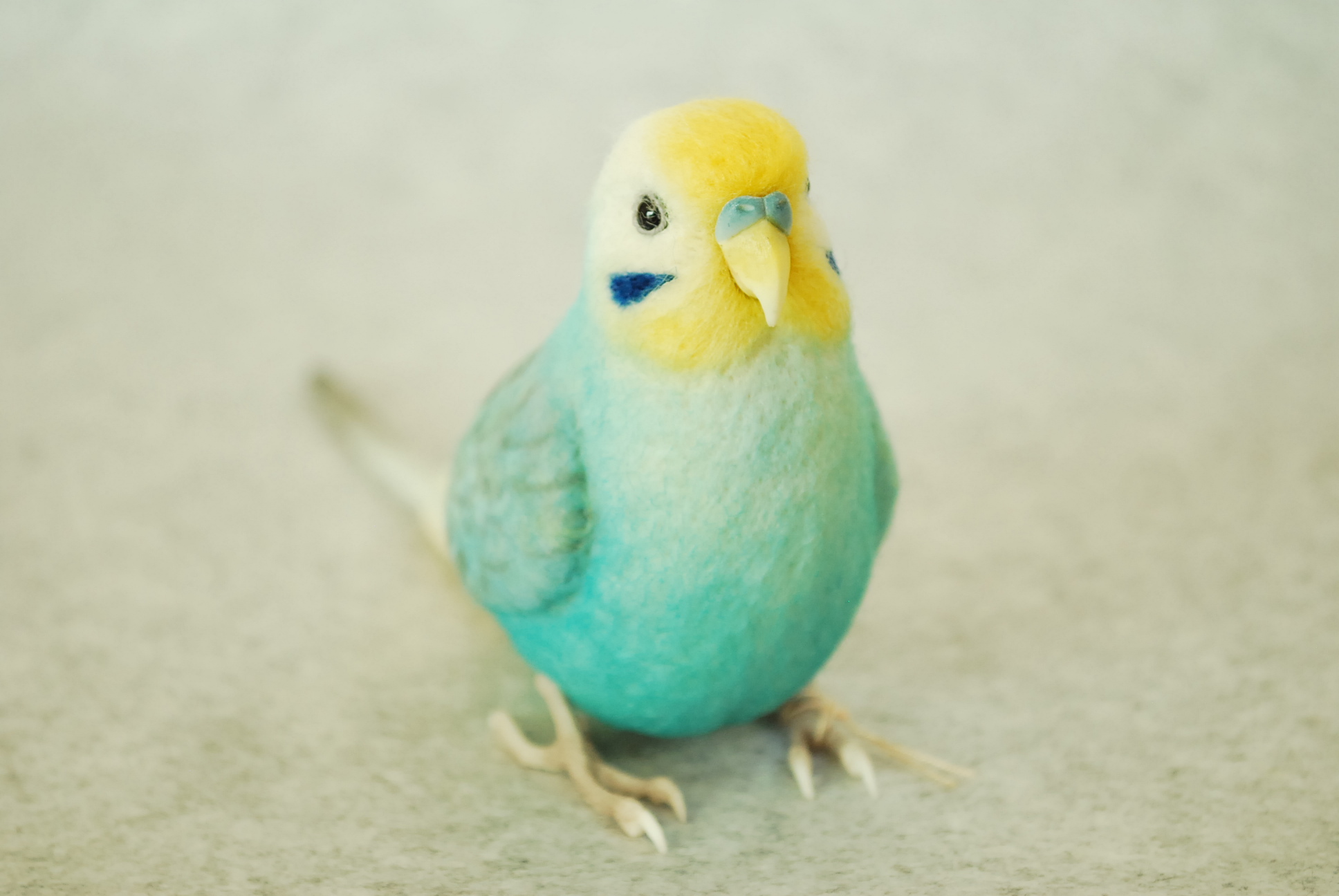 セキセイインコ レインボー オス 1609181 羊毛フェルト Primary Color 
