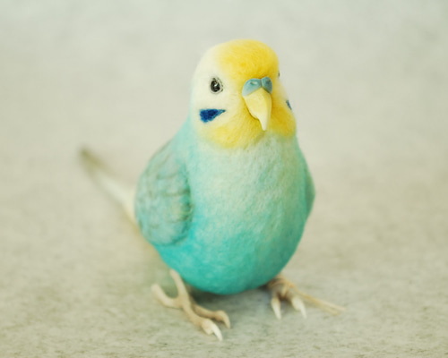 羊毛フェルト インコちゃんオーダーページ ① 1名様募集】羊毛フェルト インコちゃんオーダーページ①