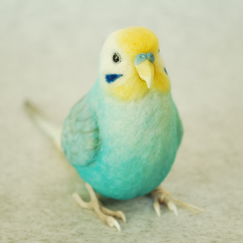 セキセイインコ レインボー オス 1609181 羊毛フェルト Primary