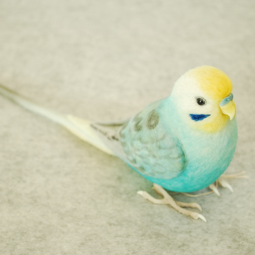 セキセイインコ レインボー オス 1609181 羊毛フェルト Primary