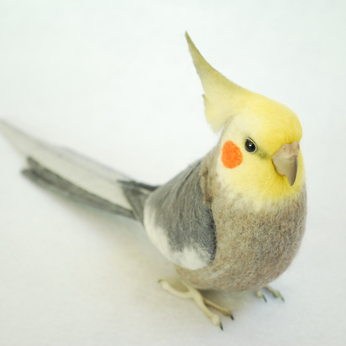 オカメインコ ノーマル オス 1610252 羊毛フェルト Primary Color