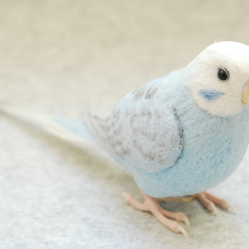 セキセイインコ ウィング 水色 メス1707074 羊毛フェルト Primary