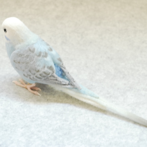 セキセイインコ ウィング 水色 メス1707074 羊毛フェルト Primary