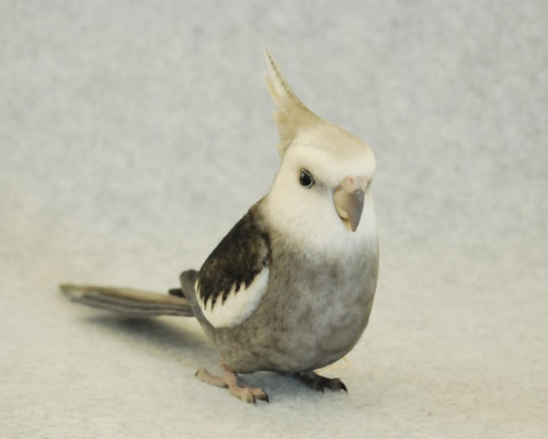 羊毛フェルト　　オカメインコ ライフサイズ♪ オカメインコ ☆WFパイド ホワイトフェイス 羊毛