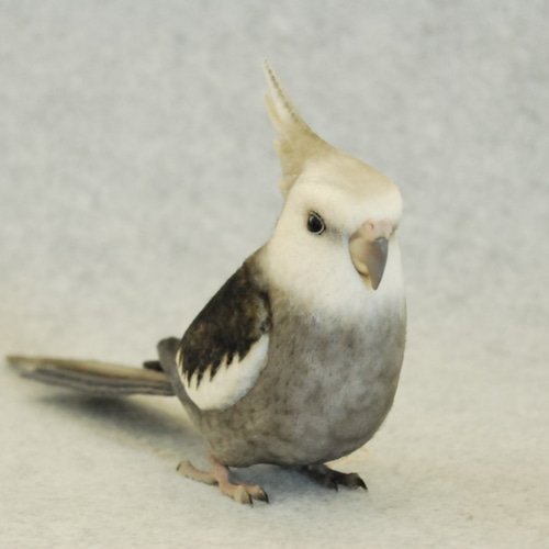 羊毛フェルト　　オカメインコ ライフサイズ♪ オカメインコ ☆WFパイド ホワイトフェイス 羊毛