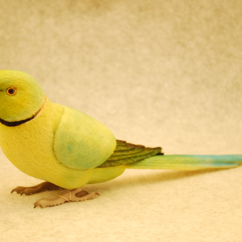 ねるねるねる子♥R30様オーダーメイド品 1708242 羊毛フェルト Primary 